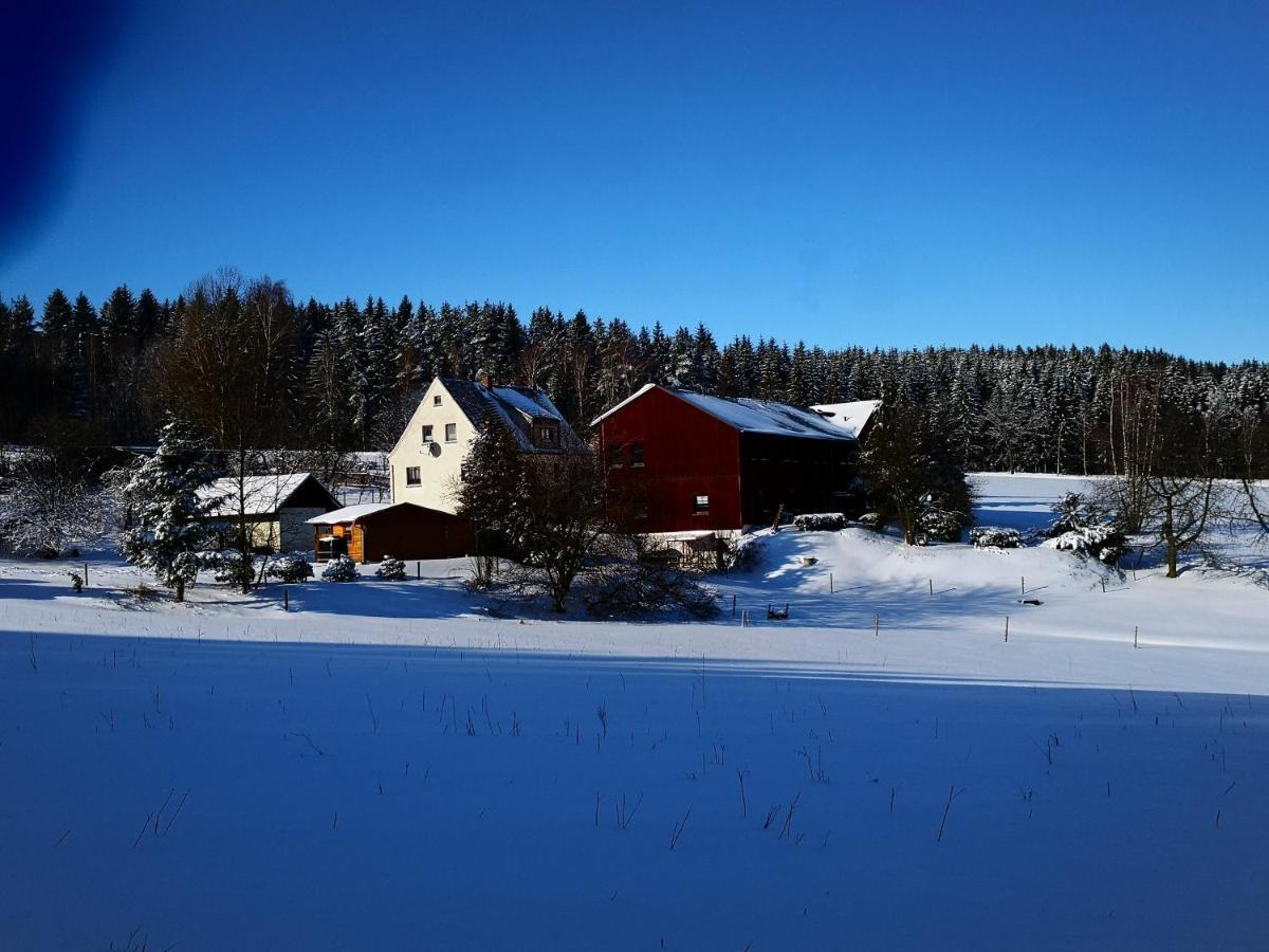 Ferienwohnungen 1 Bis 4 "Pumphut'S Scheune" Lengenfeld  ภายนอก รูปภาพ