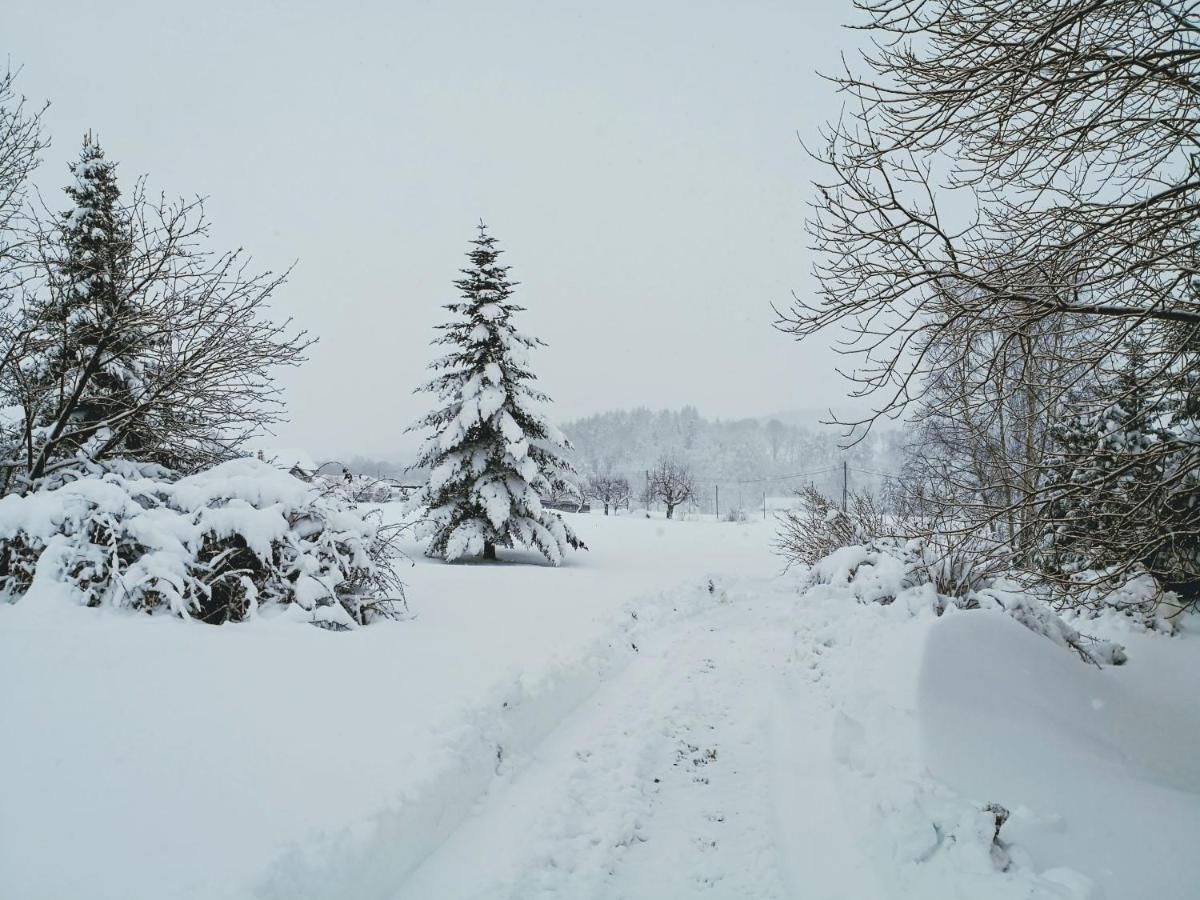 Ferienwohnungen 1 Bis 4 "Pumphut'S Scheune" Lengenfeld  ภายนอก รูปภาพ