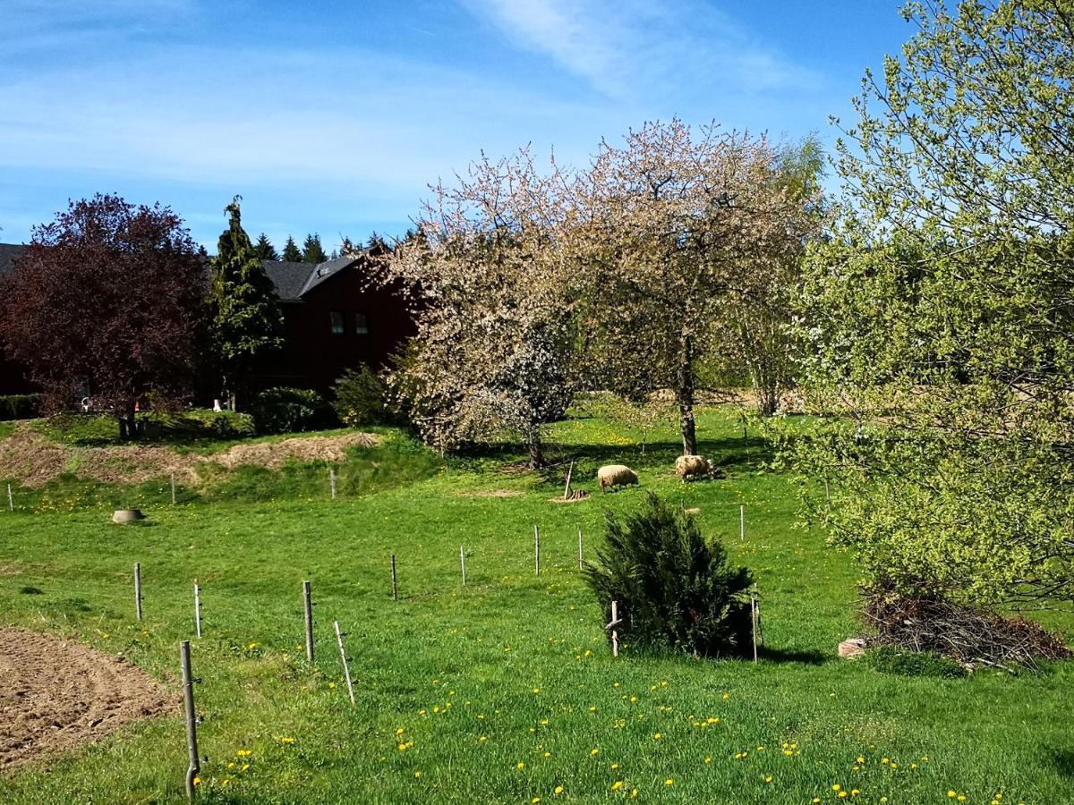 Ferienwohnungen 1 Bis 4 "Pumphut'S Scheune" Lengenfeld  ภายนอก รูปภาพ
